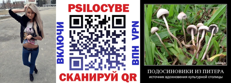 Купить закладки  Кропоткин  Галлюциногенные грибы ЛСД 